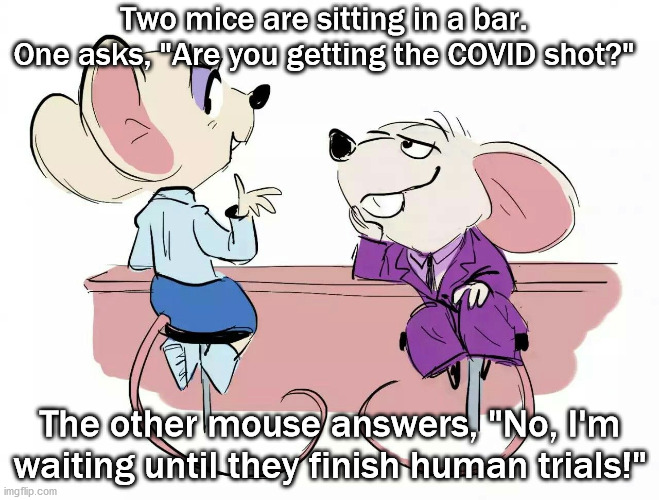 mice at the bar discussing covid vaccine